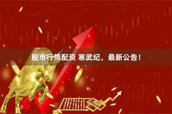 股市行情配资 寒武纪，最新公告！